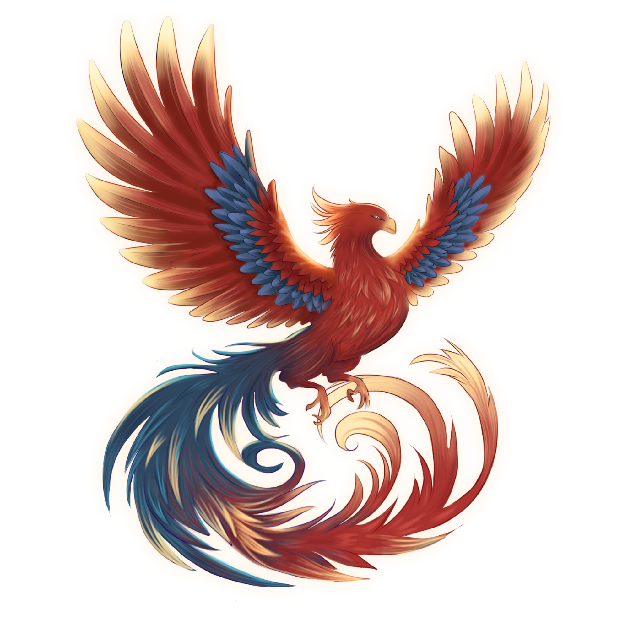 Phoenix AVVESPORA
